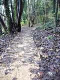 Beechen CLiff path em