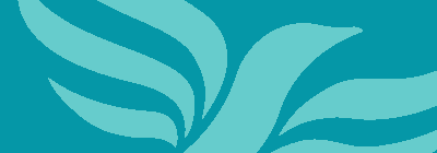libdem-email-header-aqua